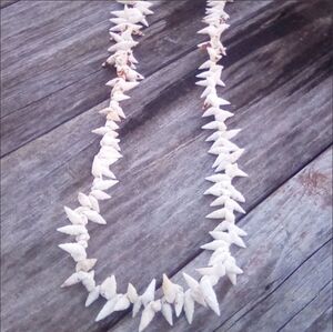 Vintage Natural Shell Long Necklace Slip On Beach Bohemian
